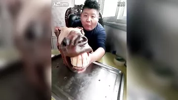 Китаец жадно отгрызает куски мяса от головы осла