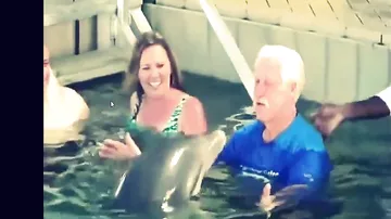 Старик и дельфин