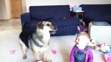 Ребенка веселит то, как собака ловит мыльные пузыри