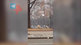 В Сети появилось видео стрельбы по силовикам на протестах в Алматы