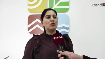 Hirkan meşələrində 3-cü buzlaşma dövründən qalmış qədim bitkilər var - Arzu Səmədova (MÜSHAİBƏ)