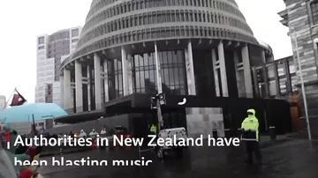 Yeni Zelandiya polisi etirazçıları musiqi ilə sakitləşdirdi