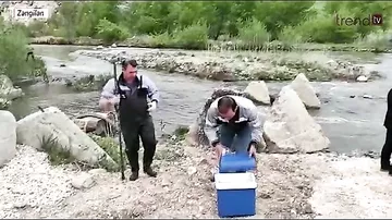 Beynəlxalq qurumlar Oxçuçayın ermənilər tərəfindən  çirkləndirilməsinə kəskin reaksiya verməlidir - Umayra Tağıyeva