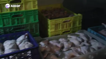 Satışa çıxarılan toyuqlar bu şəraitdə kəsilirmiş - Saray qəsəbəsində iyrənc vəziyyət aşkarlandı