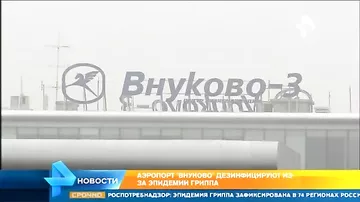 В аэропорту Внуково ввели экстренные меры из-за эпидемии свиного гриппа
