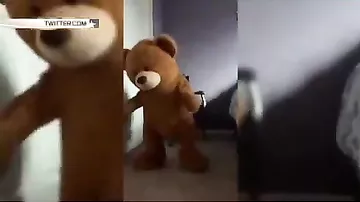 Флешмоб танцующих плюшевых медведей захлестнул интернет