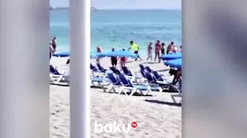 Qadın çöl donuzunun hücumuna məruz qaldı