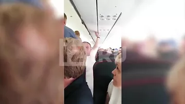 Летевшие из Сочи мужчина и женщина устроили битву на борту самолета