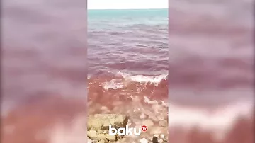 Qara dəniz qırmızıya çevrildi