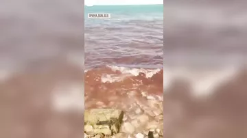 Qara dəniz qırmızıya çevrildi -
