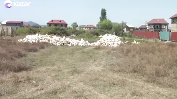 Təmir apararkən həyətindən orta əsrlərə aid saxsı qablar tapdı