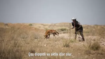 Britaniya Qarabağda minaların təmizlənməsi ilə bağlı Azərbaycanla əməkdaşlığı genişləndirəcək - Səfir