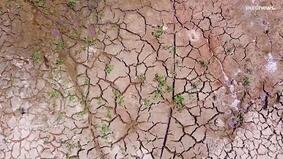 Китай страдает от засухи