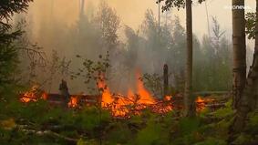 В Рязанской области из-за лесных пожаров эвакуируют жителей двух населенных пунктов