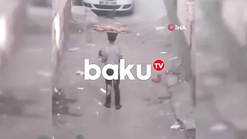 Simit satan yeniyetmənin sahibsiz heyvanları yemləməsi izləyənləri duyğulandırdı