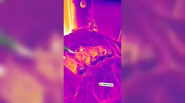 Нарушитель обнаружен????