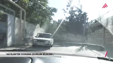 Biləcəridə narkotiklər bu tövlədə satılır - Sakinlər göstərdi