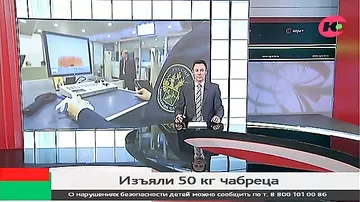 Kəklikotunu narkotik zənn edən rus polisi azərbaycanlıları cərimələdi