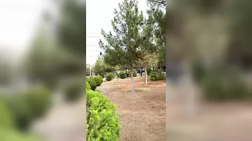 İranda etiraz aksiyaları davam edir-9