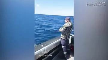 Dünyanın ən sürətli köpəkbalığı yaxtada balıqçıların yanına tullanıb