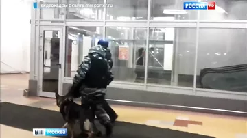 Установлен телефонный террорист, заминировавший 12 адресов в Москве