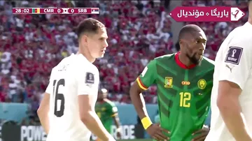 Kamerun - Serbiya - 1:0