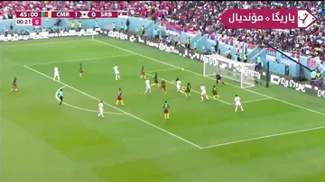 Kamerun - Serbiya - 1:1