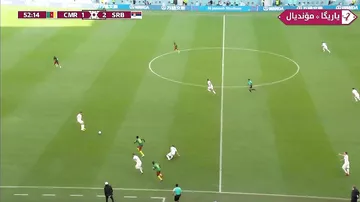 Kamerun - Serbiya - 1:3