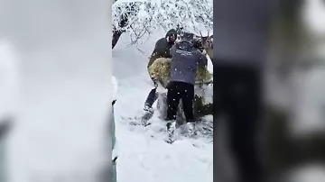 Milli parklar və qoruqlarda heyvan və quşlara yem paylanıldı
