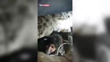 Türkiyədə 12 yaşlı qız 40 saat sonra dağıntılar altından sağ çıxarıldı