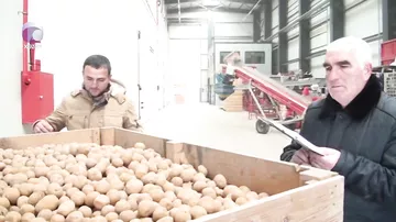 Bölgələrdəki soyuducu anbarların vəziyyəti necədir?