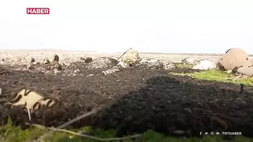Zəlzələdən sonra Türkiyəyə indi də onlar hücum etdi