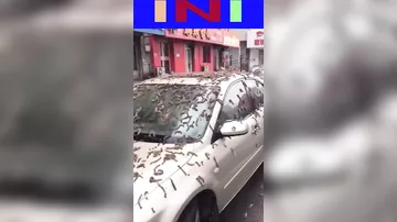 Çində göydən qurdlar yağıb