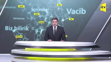 Bakıda Eldar şam ağaclarını elektrik naqilləri və qaz xətləri olan ərazidə yandırıblar
