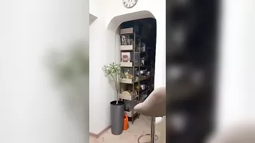 Özbəkistanda zəlzələ olub - 2