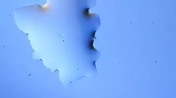 Su damcısı belə kristallaşır