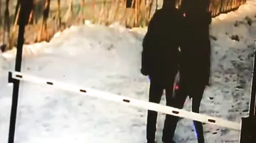 В Татарстане школьницу, поющую на улице, зверски избил пенсионер