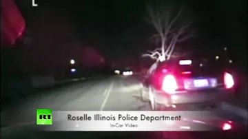В США полицейский остановил авто с деревом в капоте