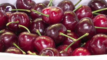 Bazarda kilosu 60 manata olan gilasın özəlliyi nədir?