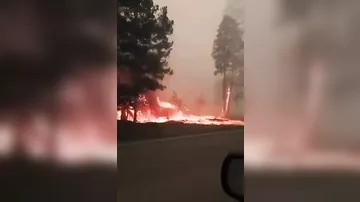 В России от лесного пожара загорелись склады с порохом