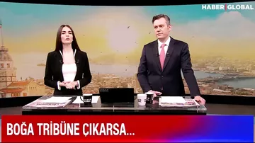 Türkiyə vilayətində qorxulu anlar: Öküz tribunaya hücum etdi