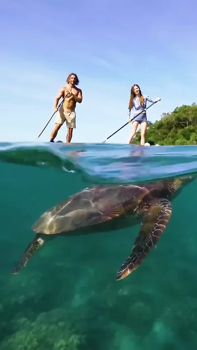 Тропический остров Фицрой, Австралия