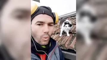 Bu gənc pişikləri yamsıladı: Pişiyin reaksiyası