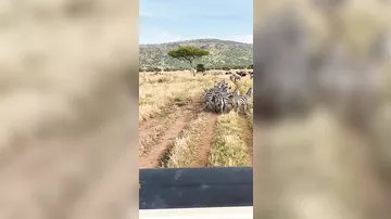 Танзания, Национальный парк Серенгети
