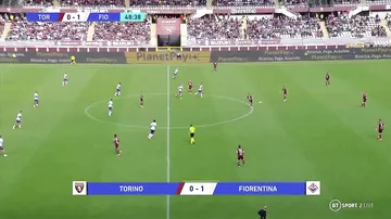 Torino – Fiorentina 1:1
