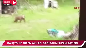 Bağına girən ayıları belə qovdu