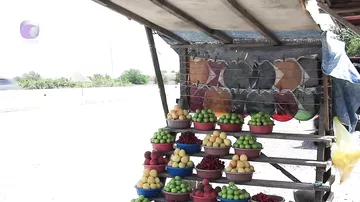 Yol kənarlarında satılan meyvələr haradan gətirilir?
