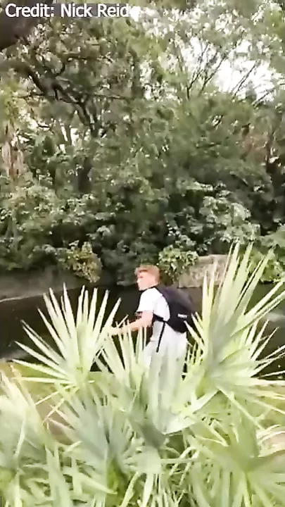 Блогер забрался в вольер к аллигатору на глазах у посетителей парка развлечений