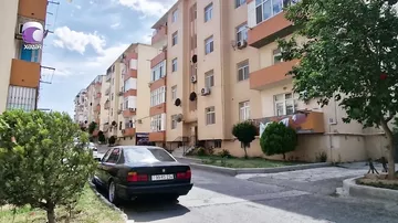 Masazırda sahibsiz itlər sakinlərə hücum edib