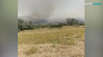 Xızıda neçə hektar ərazi yanıb?
